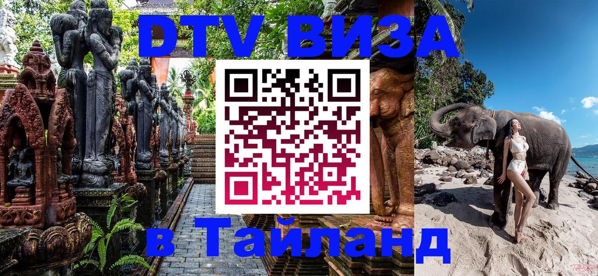 Оформление DTV визы под ключ: стоимость и тарифы, только загранпаспорт - 